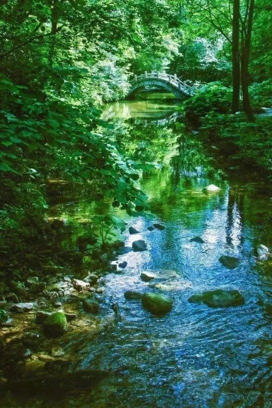 虫虫助手下载