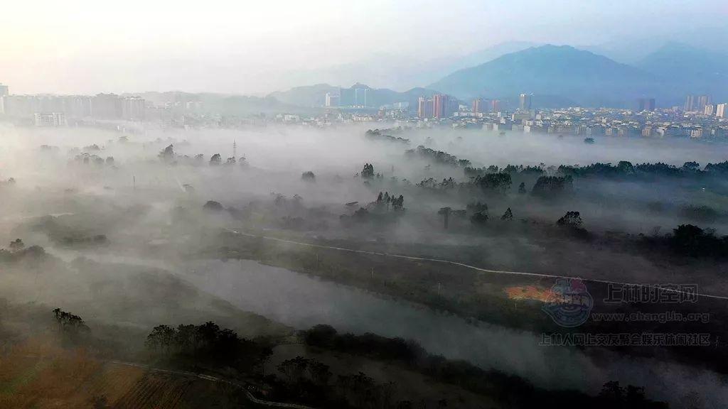 蓝狐视频