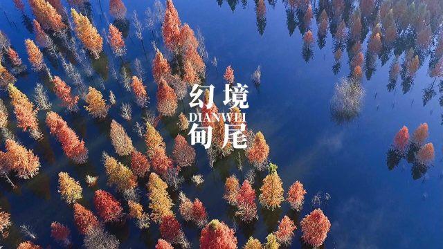 寻找遗失的手提包
