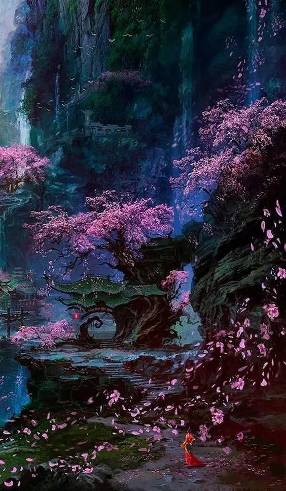 创作猫