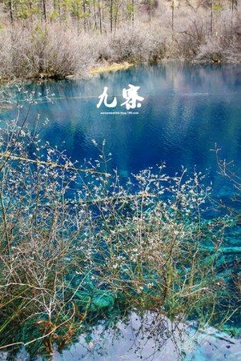 超级机器人战斗4