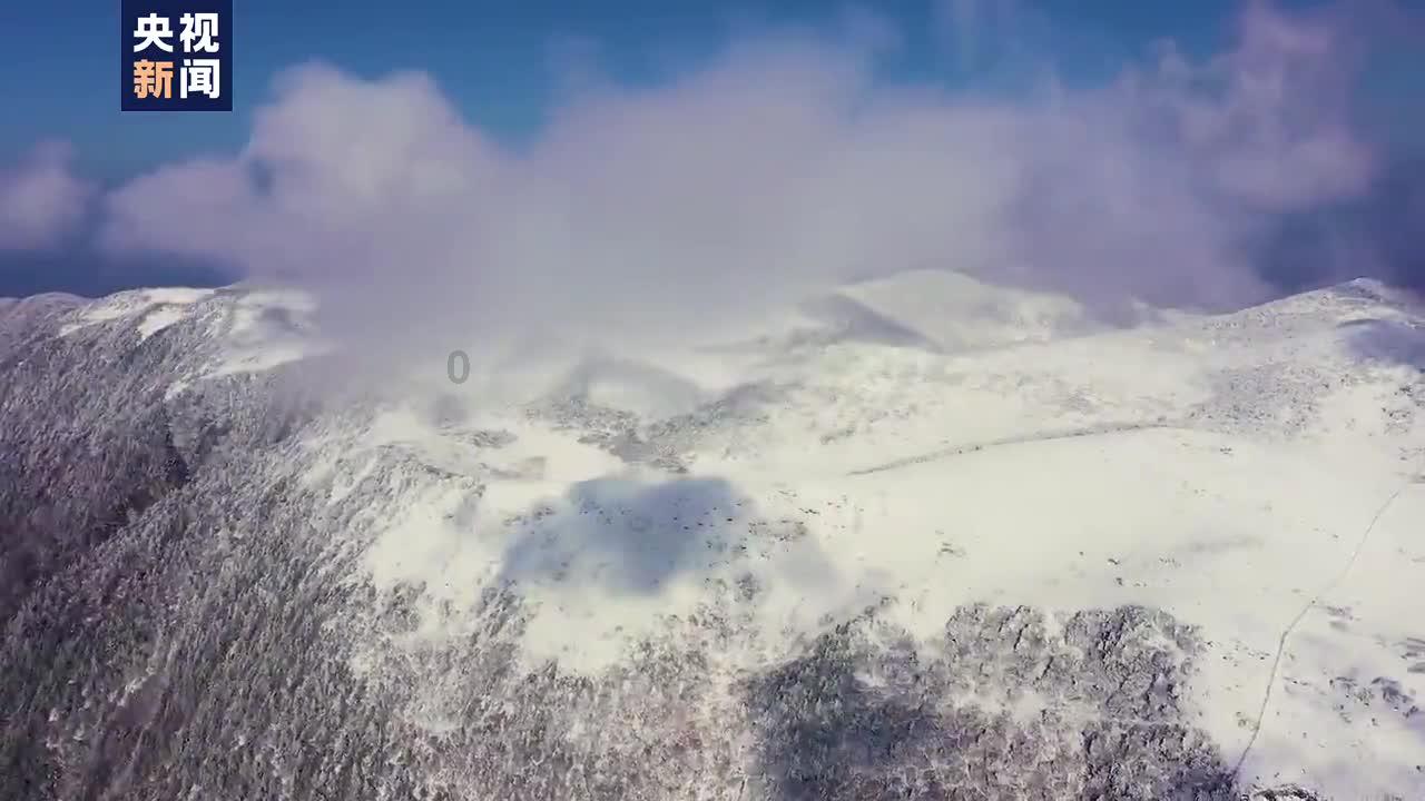 洪潮之焰
