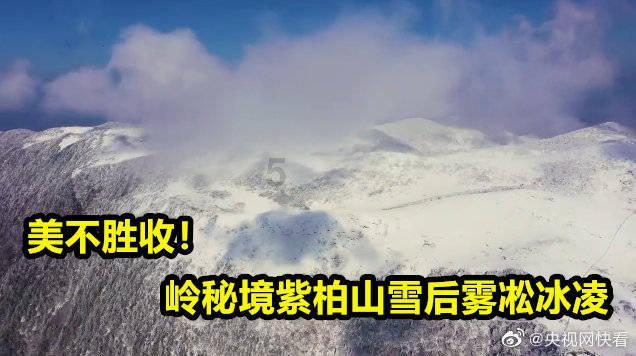 中国人寿郓城支公司组织开展保险“挂单”典型违规案例警示教育活动