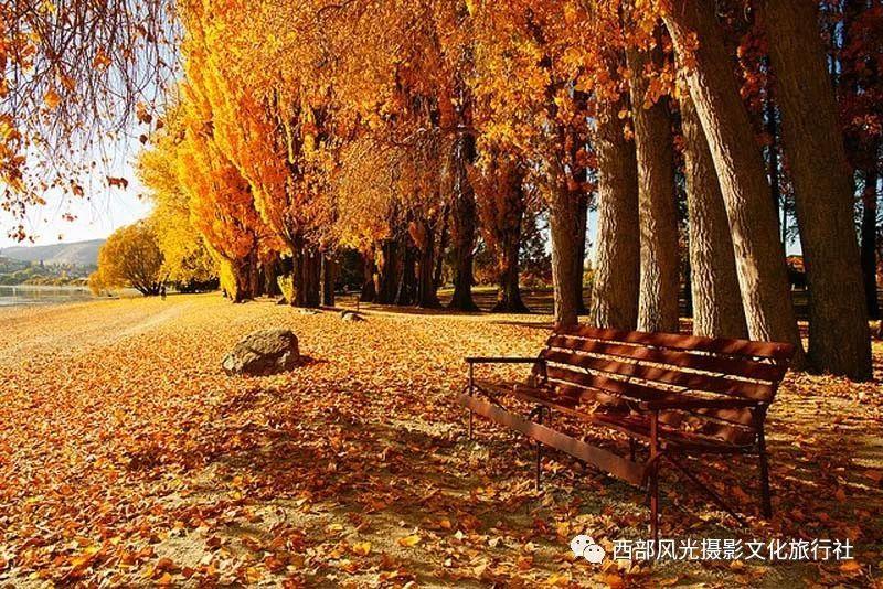 秘密花园找不同