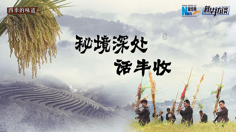 敏捷小球
