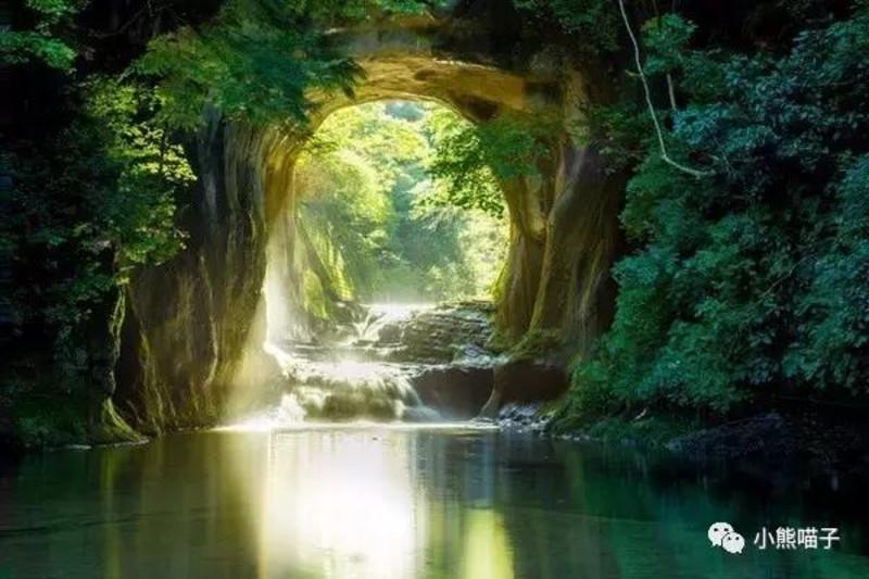 人类：一败涂地