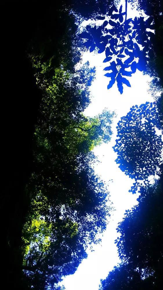 逗小猴开心系列199
