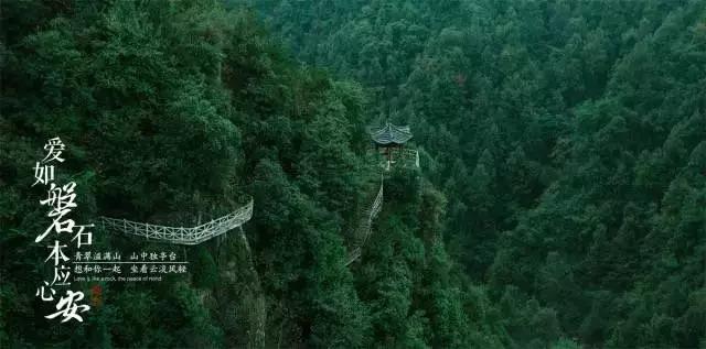我国国球的底板和胶皮，多长时间换一次合适？游戏画面