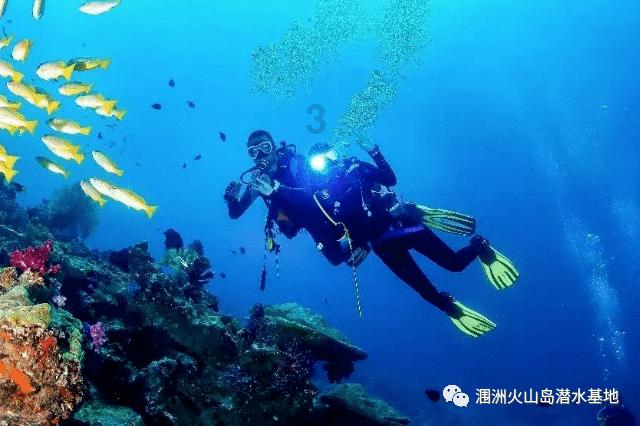 特种突击聪明的顺溜