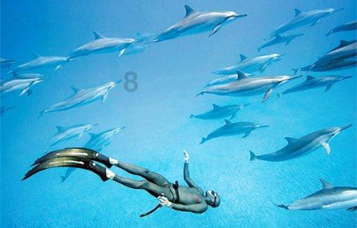 百雀羚骄阳倍护防晒乳怎么用139？游戏画面