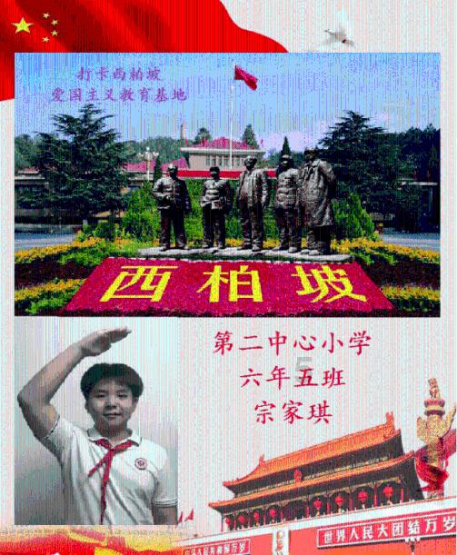 上海游客4岁儿子在大理被狗咬?当地警方:此事正在调查