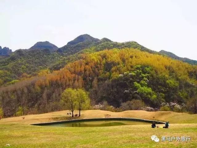 43岁林俊杰前往巴厘岛旅游！穿短袖出镜显清爽，晒美照享受生活