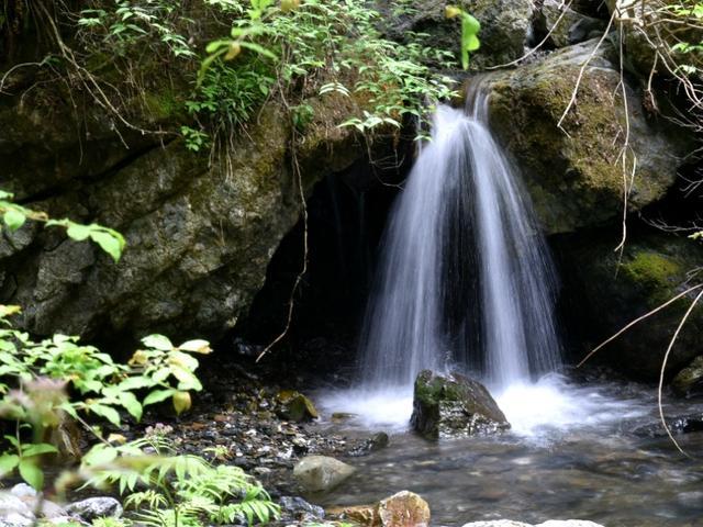 荒野大镖客2