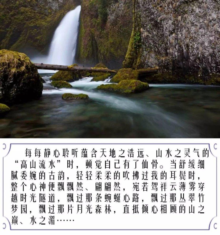 豆娃足球冒险
