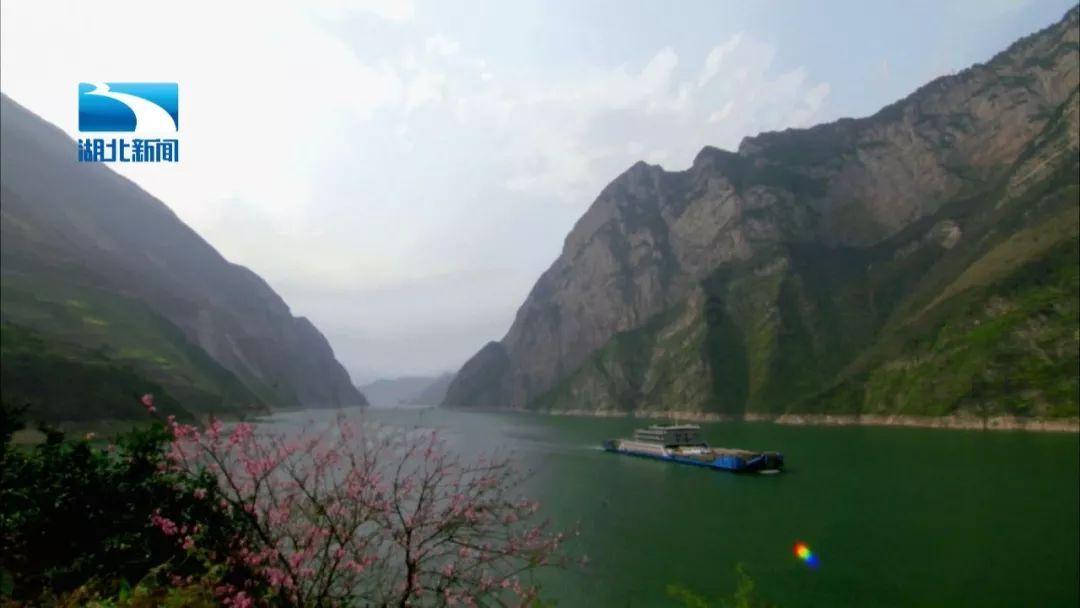 沪江开心词场