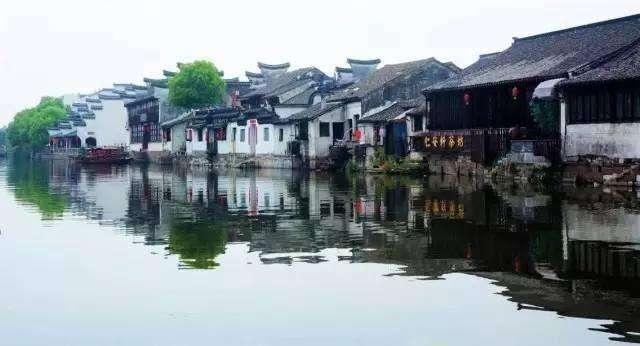 燃烧的蔬菜4新鲜战队