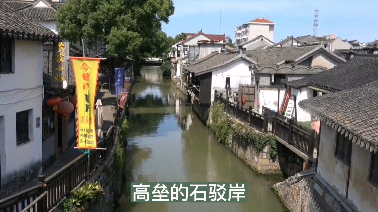 我的王朝