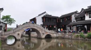 【新春走基层】陇南:蝴蝶兰走“俏”春节市场