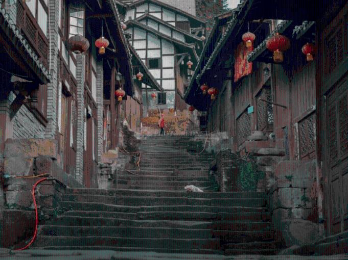 救援袋鼬
