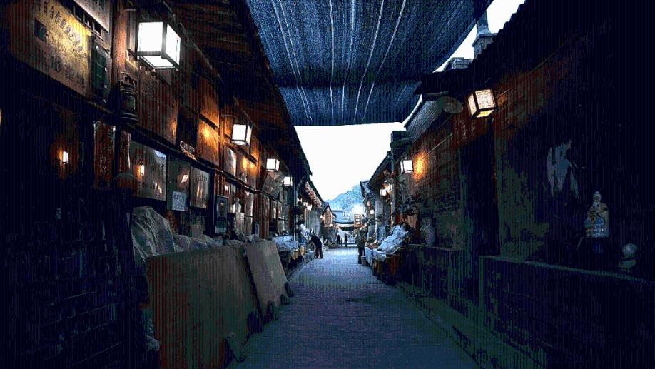 动物帮帮忙保卫家园