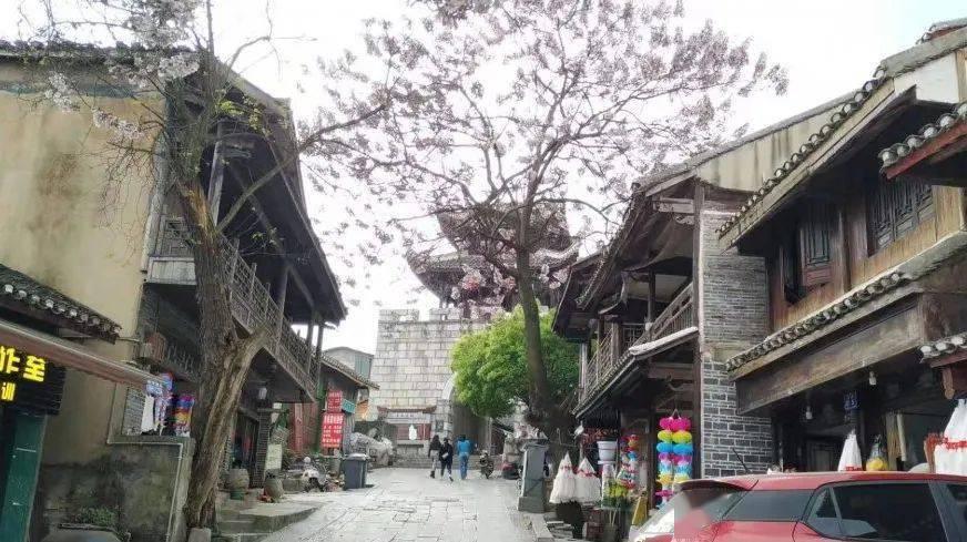 救援修女