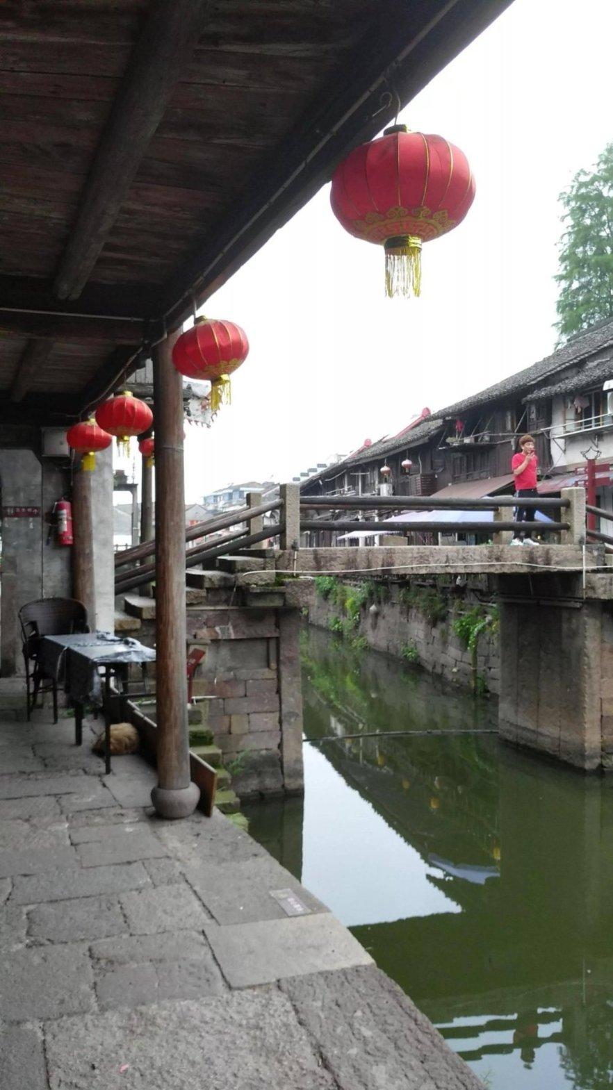 浙江名将赛季报销,天津男篮内线陷困境,主教练面临挑战