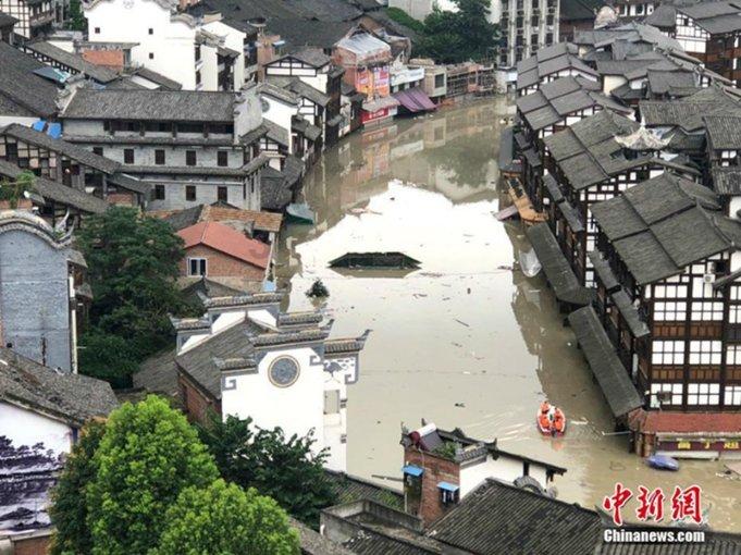 国际竹藤中心谋划推进竹藤高质量发展