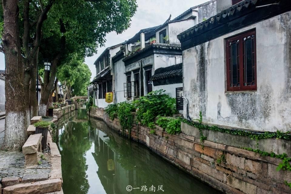 动物帮帮忙保卫家园