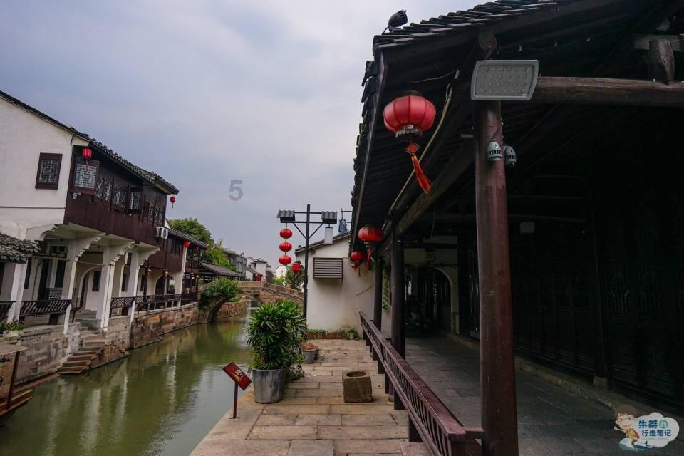 翠绿椰风：段元诚的海南之旅