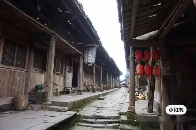 月光影视
